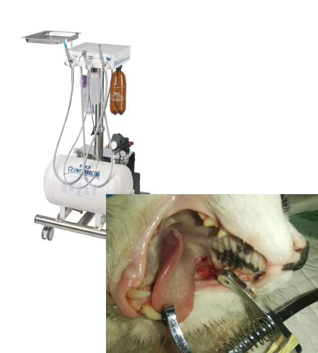 Stomatológia - zubná jednotka